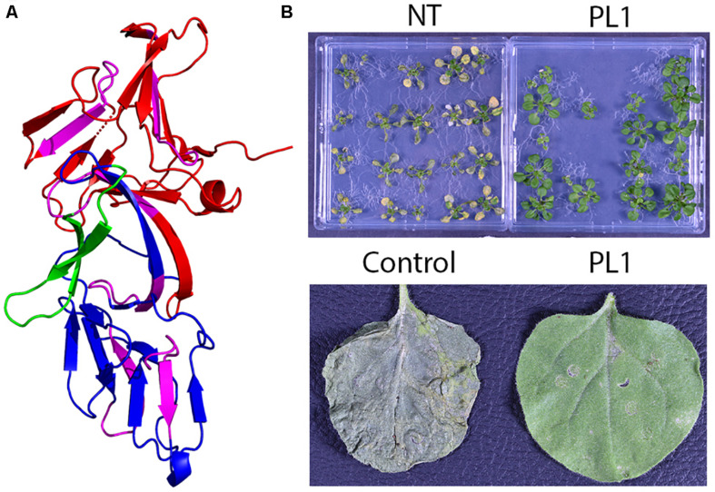 FIGURE 2