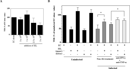 FIG. 9.