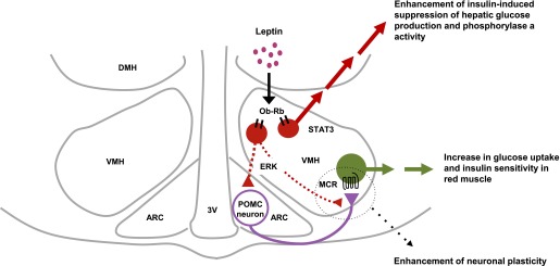 FIG. 7.