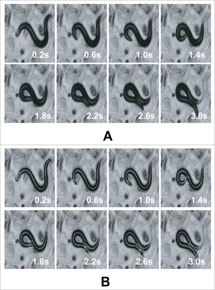 Figure 7.