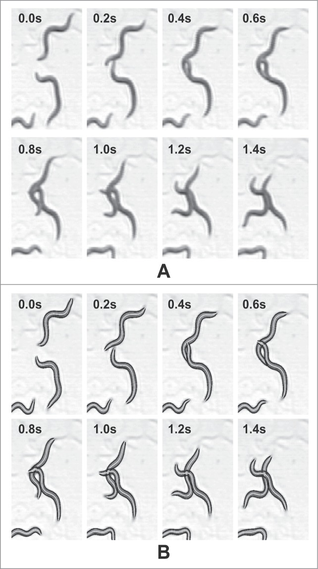 Figure 5.