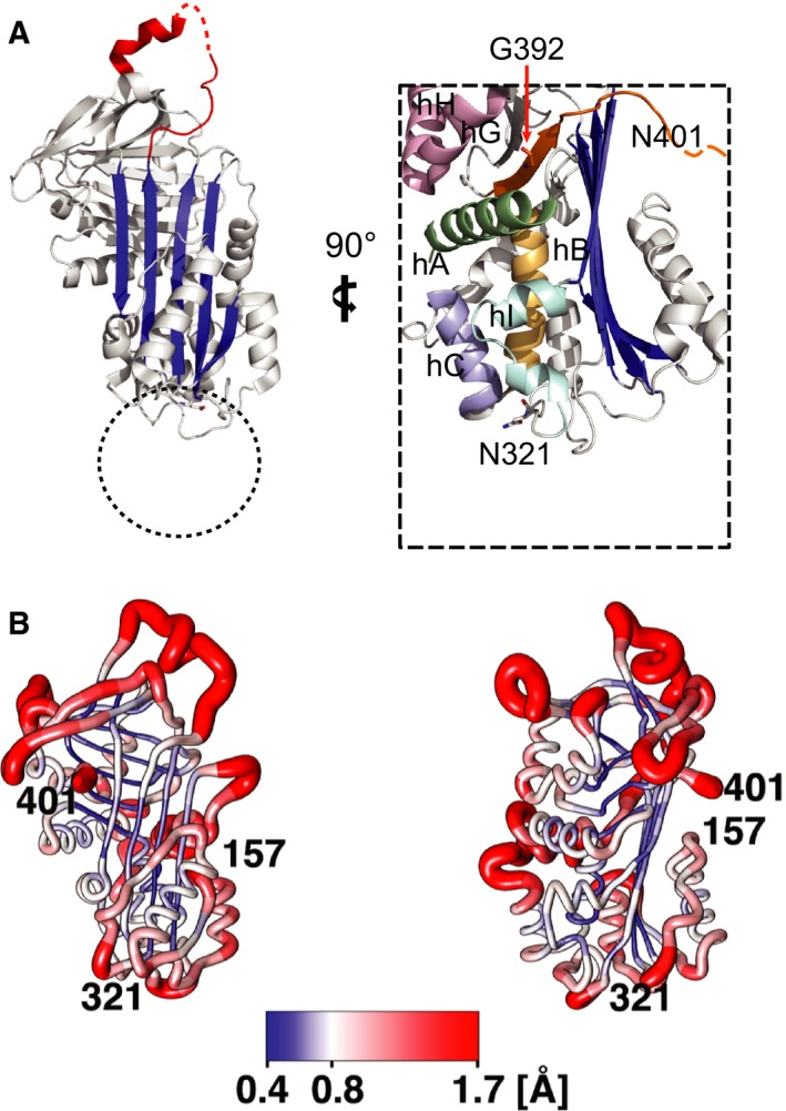 Figure 7