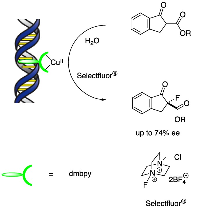 Scheme 5