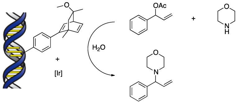 Scheme 6