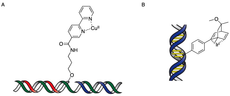 Scheme 2