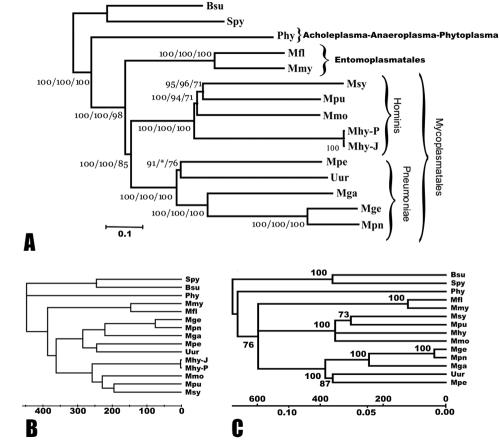 FIG. 2.