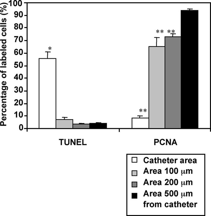 FIG. 7.