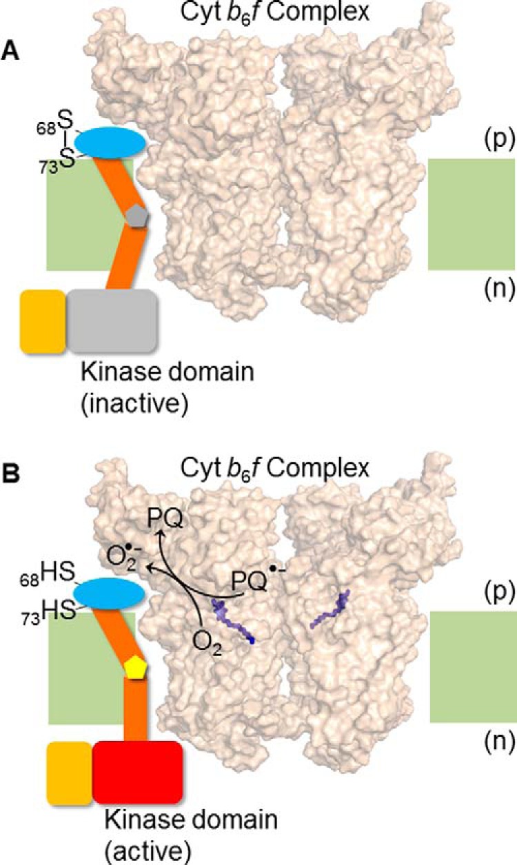 FIGURE 7.