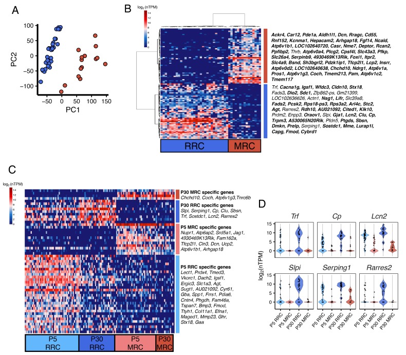 Figure 2—figure supplement 1.