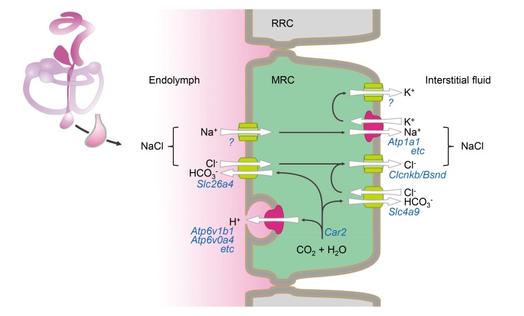 Figure 9.