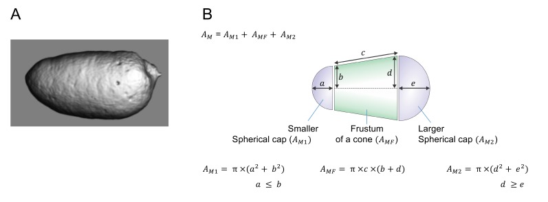 Figure 1—figure supplement 1.