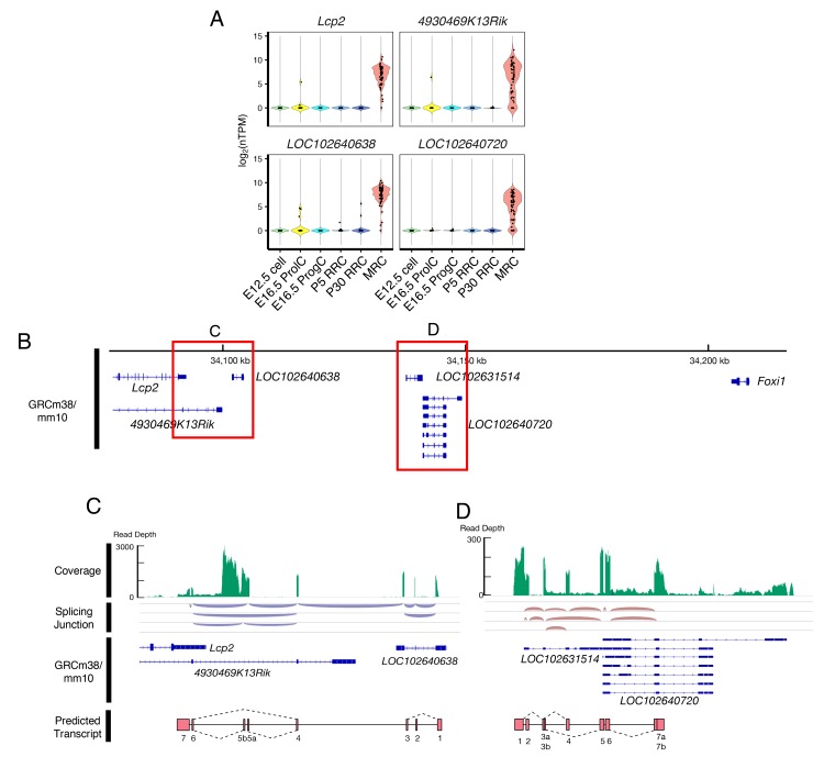 Figure 4—figure supplement 1.