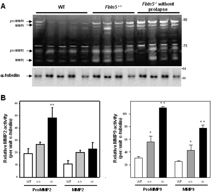 FIG. 8.