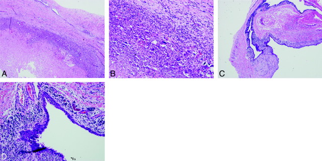 Fig 2.