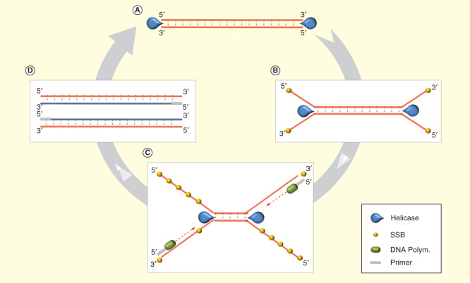 Figure 2.