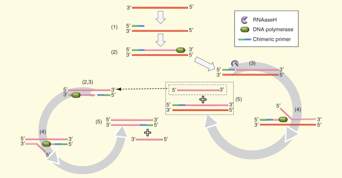 Figure 5.