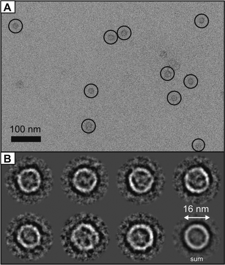 FIG. 7.