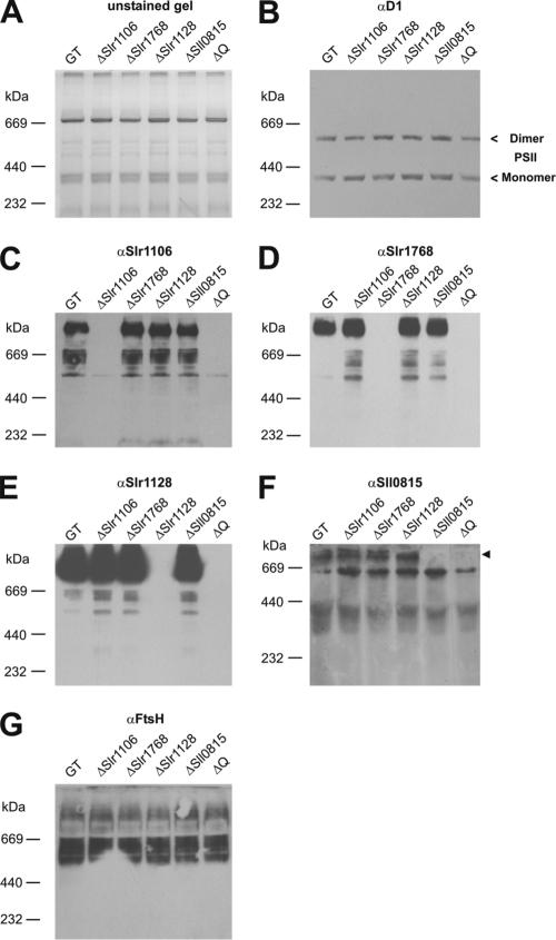 FIG. 5.