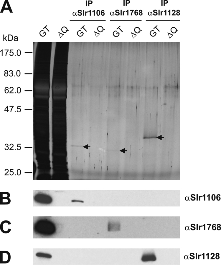 FIG. 6.