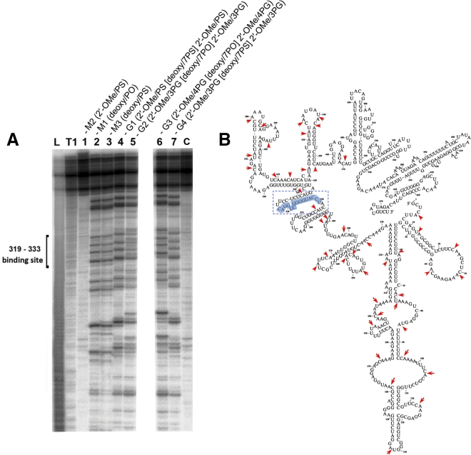 Figure 4