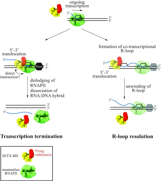 Figure 7.