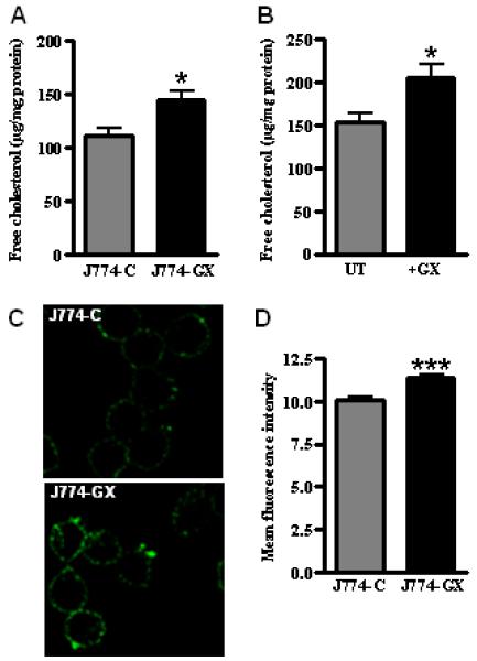 FIGURE 4