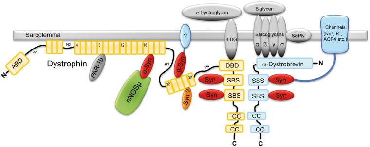 Figure 6.