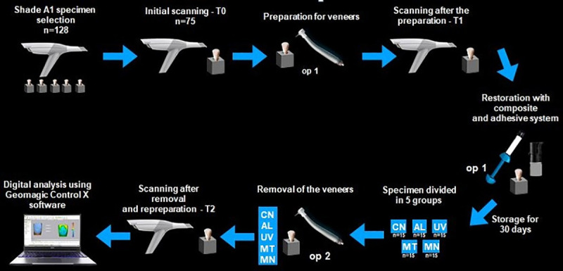 Fig 3