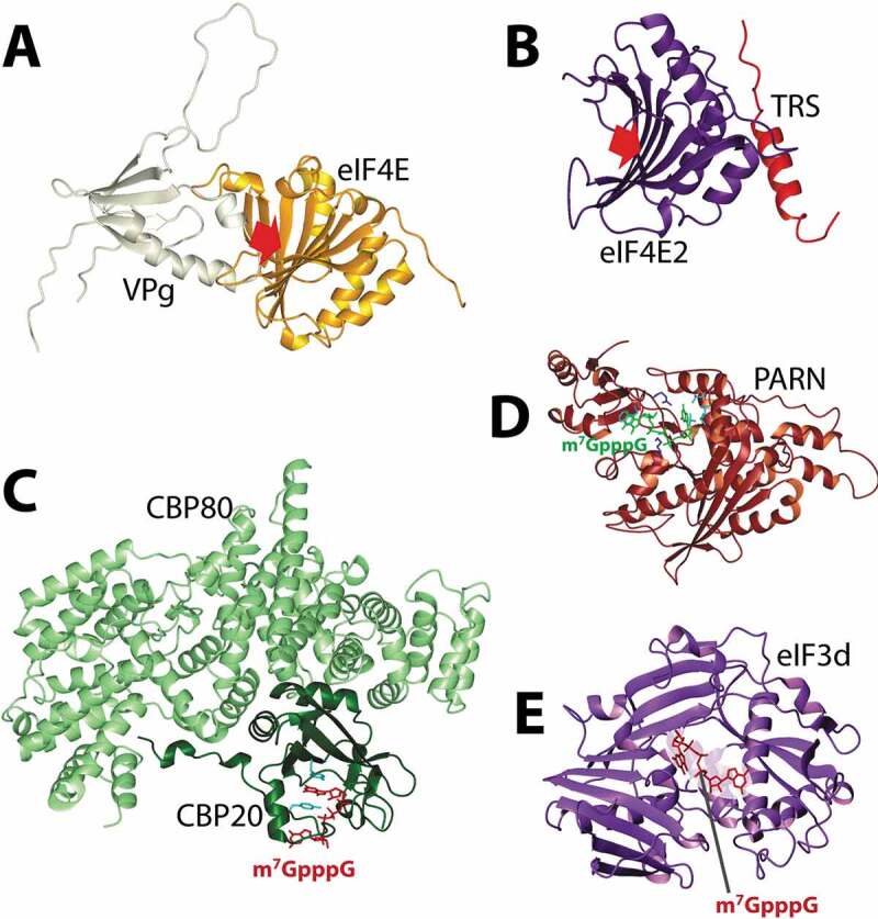 Figure 3.