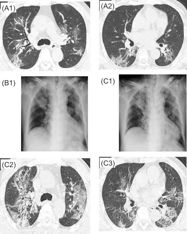 Figure 1.