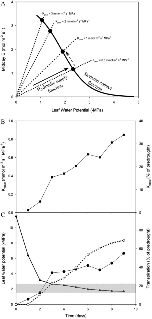 Figure 5.