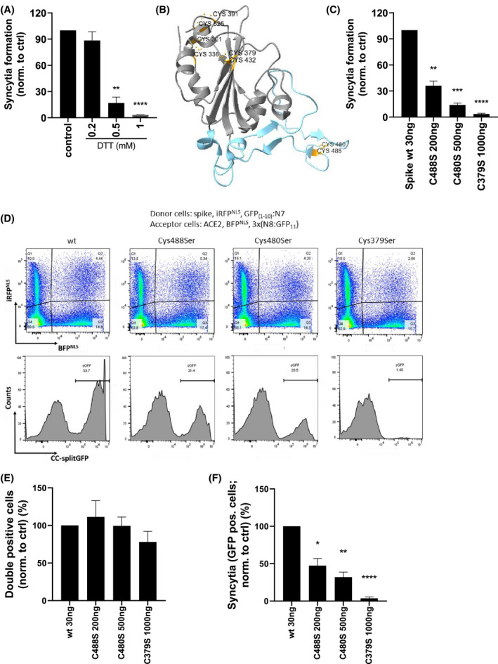 FIGURE 4