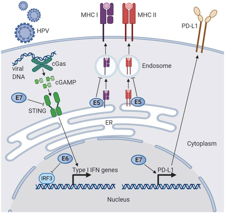 Figure 1: