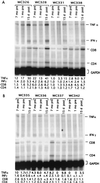 FIG. 9