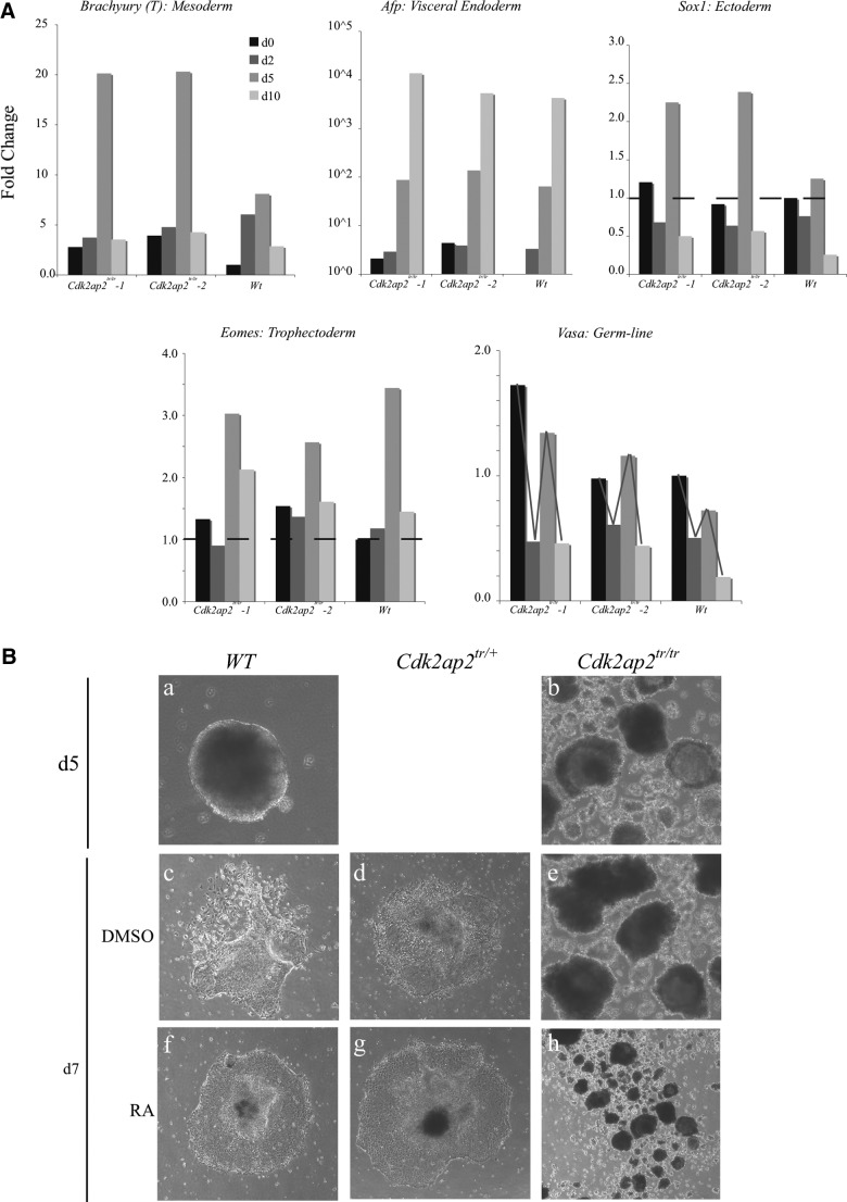 FIG. 4.