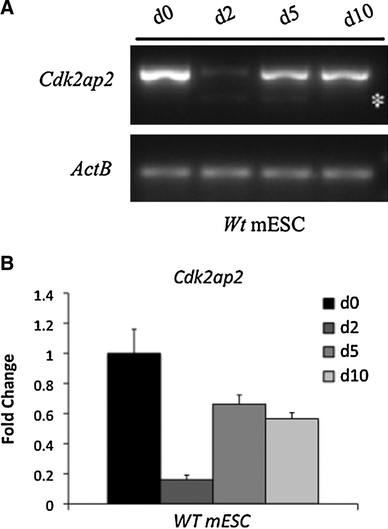 FIG. 7.