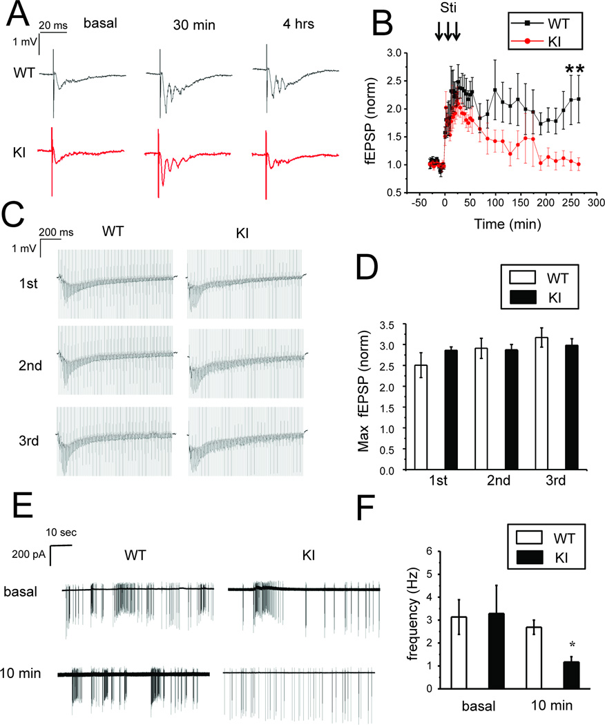 Fig 6