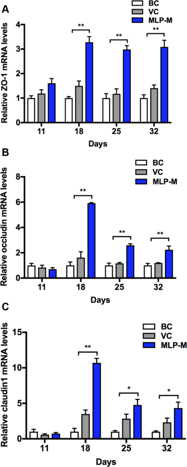 Figure 7