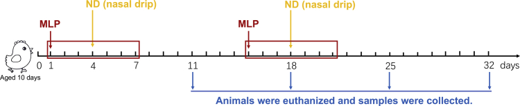 Figure 1