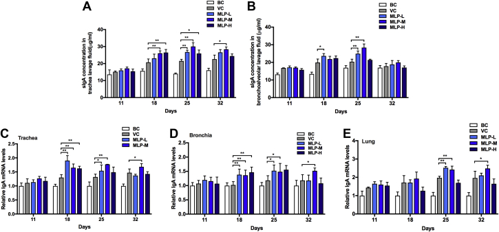 Figure 3