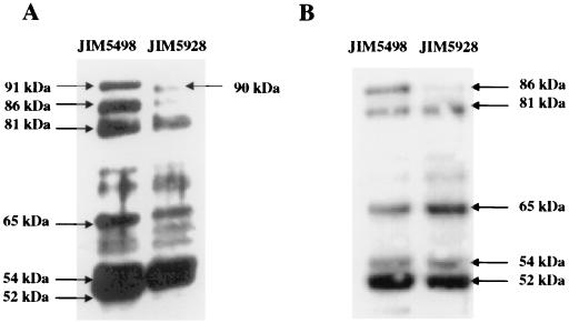 FIG. 8