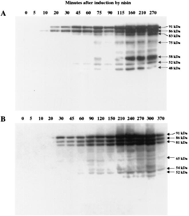 FIG. 6