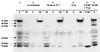 FIG. 7