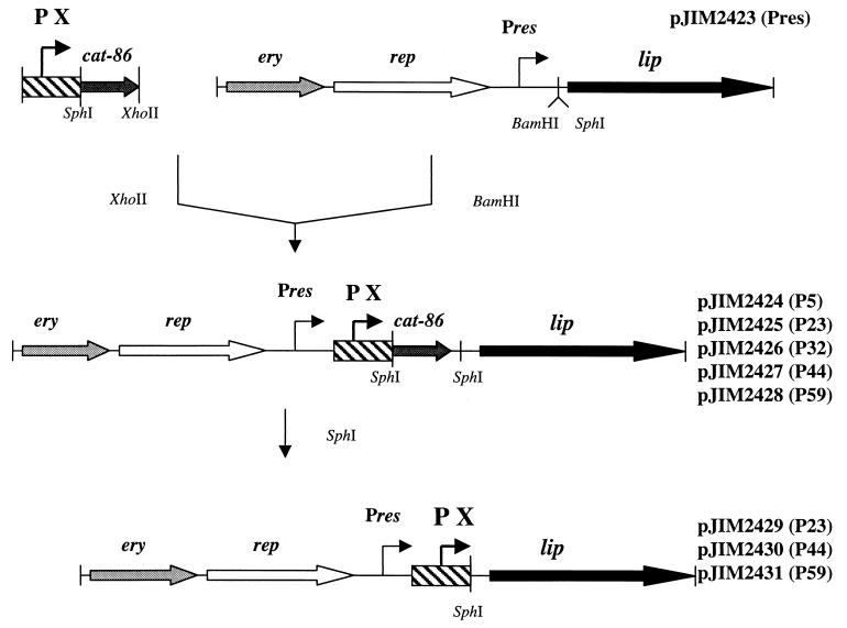 FIG. 1