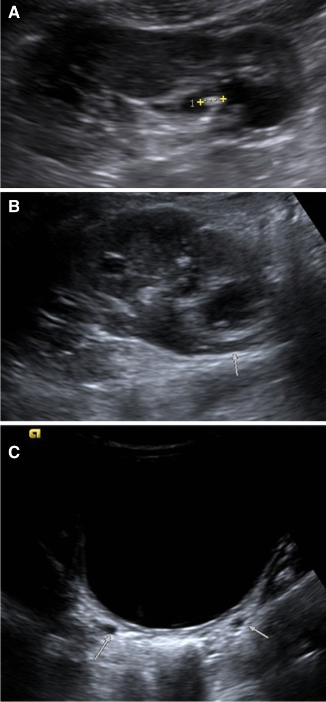 Fig. 8