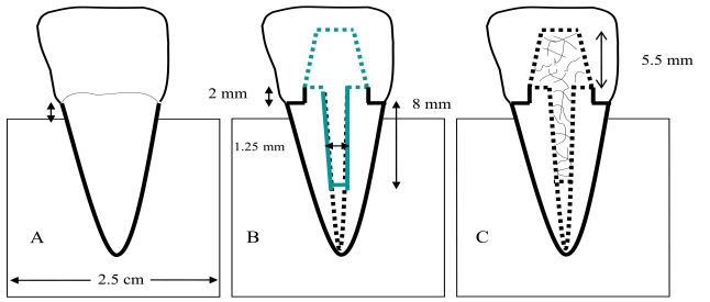 Fig. (1)