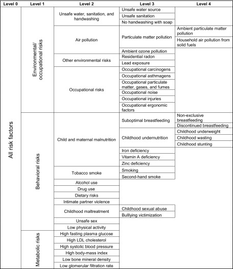 A tabular representation of the risk factors hierarchy under three groups: metabolic risks, behavioral risks, and environmental/occupational risks.