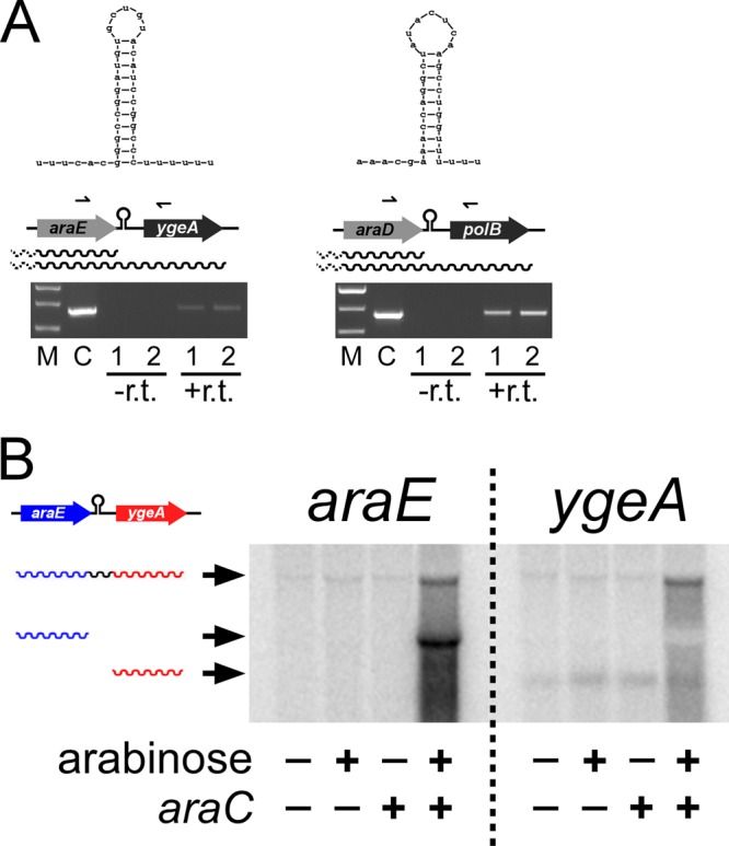 FIG 4