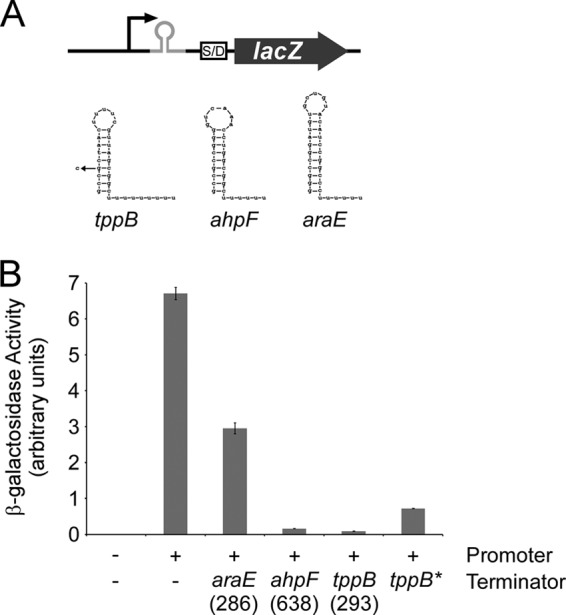 FIG 5