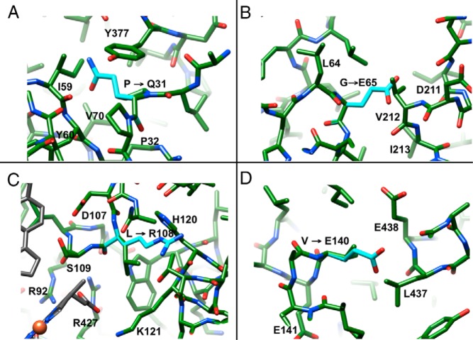 Figure 5.